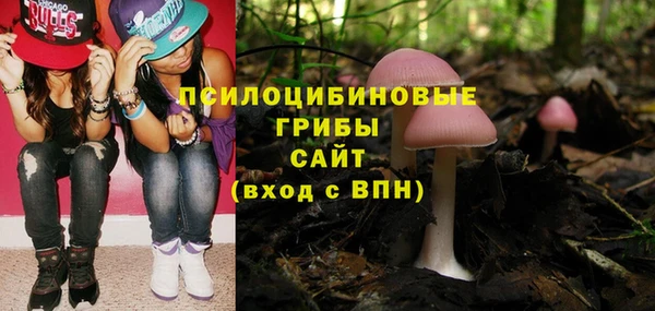 дживик Баксан